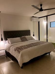 Villa with Pool Steps from the Malecón & Historic