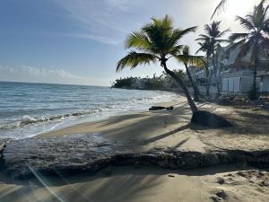 Villa Tropical Cabarete