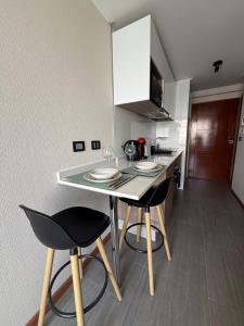 Studio Apartment 1D 1B Cavancha Peninsula