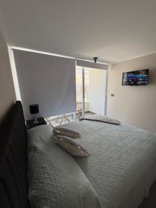 Studio Apartment 1D 1B Cavancha Peninsula