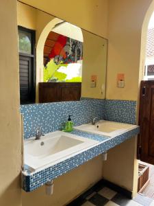 Southern Oasis Backpackers