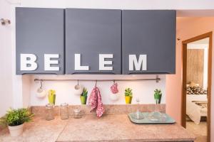 Fabulous duplex in Belem with river view