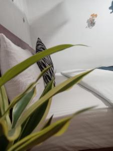 Secret Nest Homestay