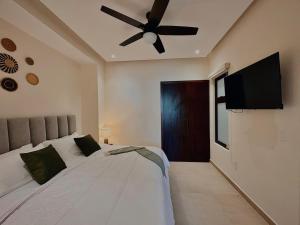 OVATA 102 - ZONA ROMANTICA