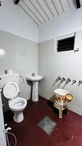 Coffeethota homestay