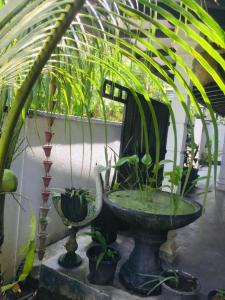 New white villa àhàngàmà