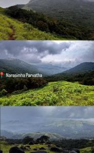 Malnad cloud homestay Agumbe