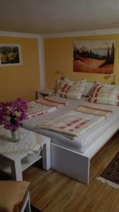 Apartment Vila Salzburg