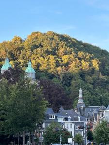 NEOZONE Appart-Hotel Malmedy