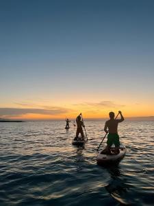 Bliss Driftwood Retreat By Mandala