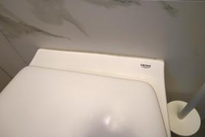 Spacious 3BR, 3BT design renovated