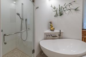 1BR Mauna Lani Point lovely mountain views