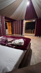 Rum Moon Camp