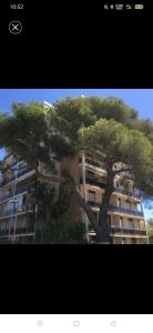 Vue panoramique dernier étage sans vis à vis