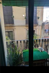 Room Gothic Barcelona