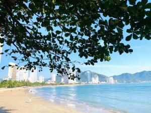 Media Nha Trang Hotel