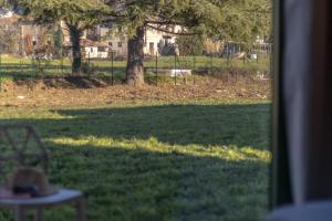 Nicolò e gli Alberi - Villino D