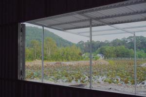 Mị Cảnh Glamping