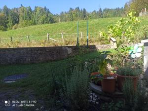 Apartment Trauninsel