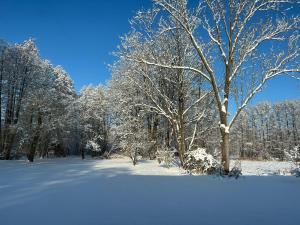 Modernes Gartenatelier am Mühlenfließ