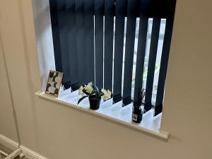 City Spacious Apartment