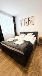 Mickiewicz House Apartamenty