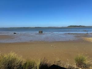 Cabañas y Tinajas Rio Quenuir