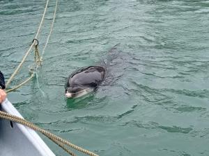 Old Farm renovated ,5 min from beach and forest