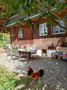 Ferienwohnung am Belchen