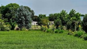 Cabañas Natural Box 2