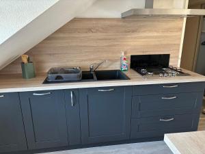Appartement au cœur de Gérardmer 4 à 6 personnes classé 2 étoiles