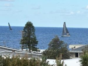 Whispers of the Blowhole