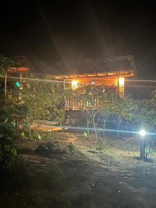 Koh Mook Banana Garden