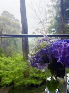 Mountain Oasis Chalet In Olinda