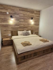 Cabana A-frame Apuseni