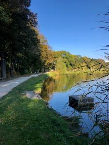 Terrace apartment near centre, parking, river park