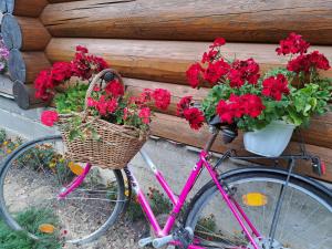 Ґорґанські потоки