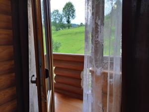 Ґорґанські потоки