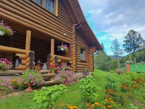 Ґорґанські потоки