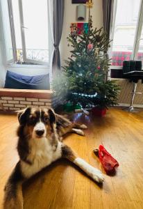 Cozy Room in Le Marais