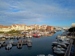 Studio tout équipé vue port, proche aquarium