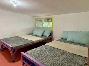 Malahiking Transient