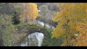 Drevenica pod vŕbami s farmou a zvieratami