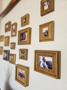 A Casa do Comandante - Piscina e Jardim