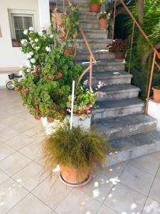 Apartmani Vidović Viganj