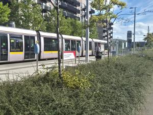 Double room beside tramline