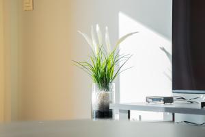 Anchored in Carmo by Homie