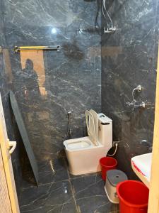 Shree Kanhaiya Palace