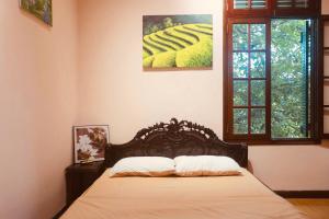 Park View WindowLocal flair