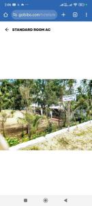 New Majestic Beach Resort,Breeze Haven